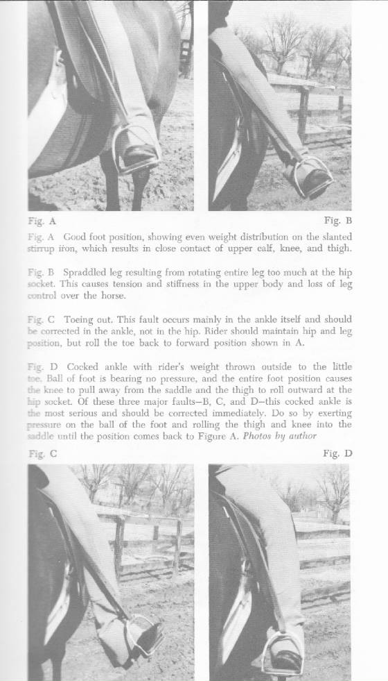 eqbookch10pg3.jpg