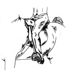 saddleseatlegpositiondrawing.jpg