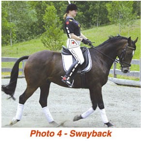 swaybackdressage.jpg