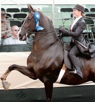worthashow2007lexington2.jpg